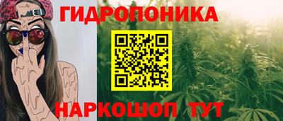 ГАЛЛЮЦИНОГЕННЫЕ ГРИБЫ Моздок