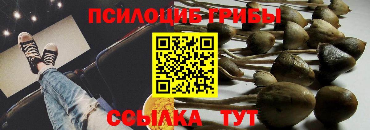Галлюциногенные грибы мицелий  Вход с VPN  Ханты-Мансийск  где купить   Галлюциногенные грибы Psilocybe 